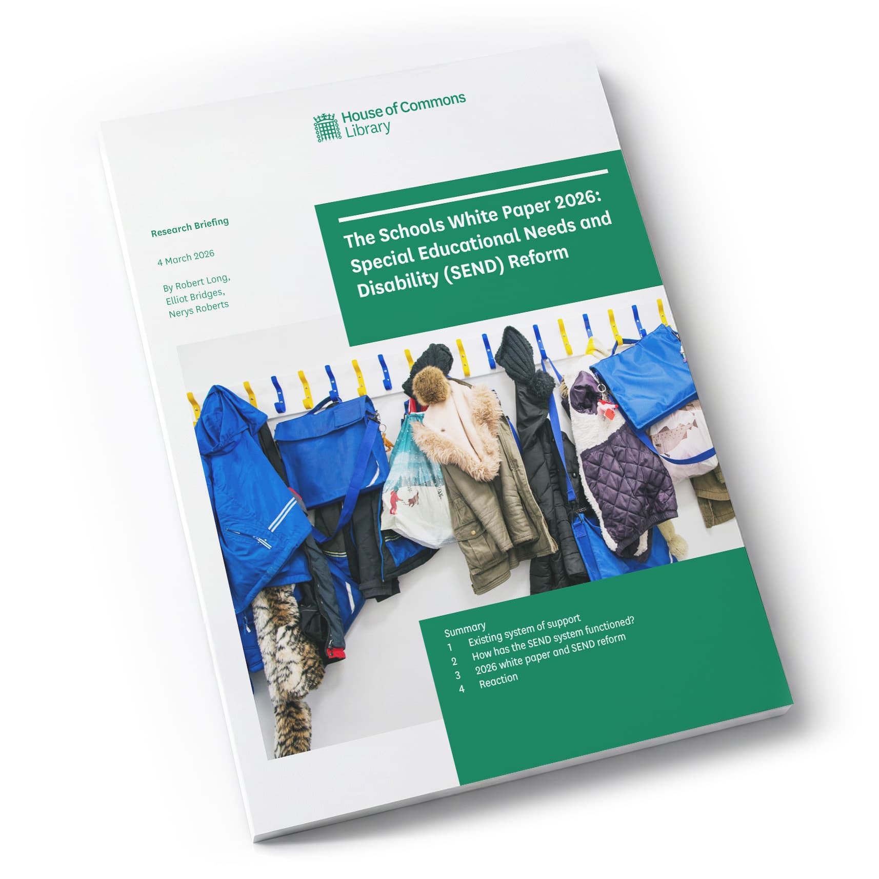 SEND reform White Paper illustration